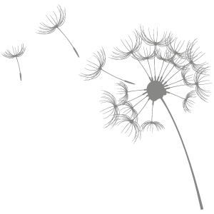 silence_pusteblume_158 spiegel