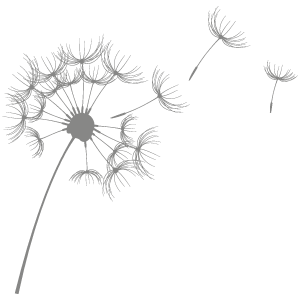 silence_pusteblume_158