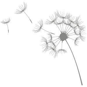 Pusteblume-grau-gespiegelt